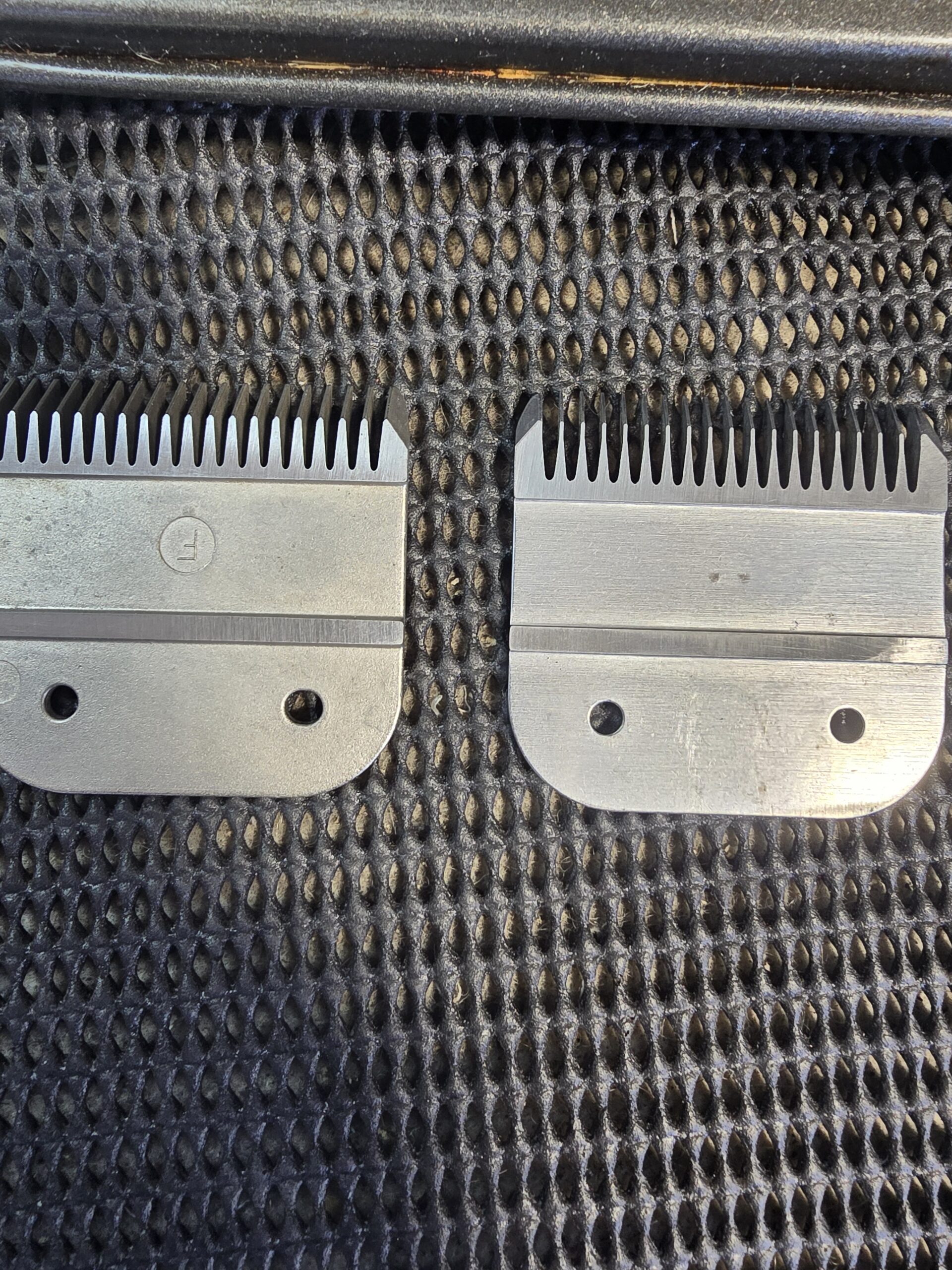 Clipper Blades